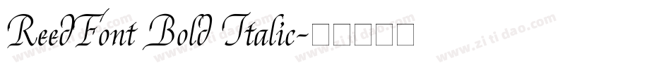 ReedFont Bold Italic字体转换